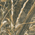 Realtree Max 5