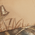 Realtree MAX-5/ Tan/ Bass