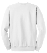 P160 - Hanes - EcoSmart Crewneck Sweatshirt.  P160