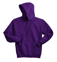 P170 - Hanes EcoSmart  - Pullover Hooded Sweatshirt.  P170