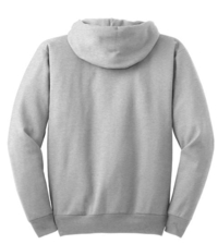 P170 - Hanes EcoSmart  - Pullover Hooded Sweatshirt.  P170