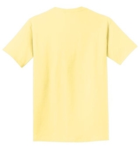 PC099 - Port & Company Pigment Dyed Tee