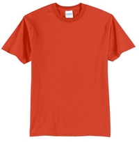 PC55 - Port & Company - Core Blend Tee. PC55