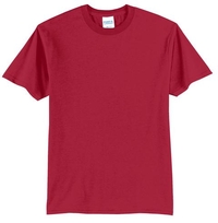 PC55 - Port & Company - Core Blend Tee.  PC55