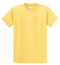 PC61T - Port & Company - Tall Essential Tee.  PC61T