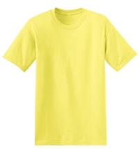 5170 - Hanes EcoSmart Short Sleeve Cotton/Poly Blend T-Shirt