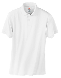 054X - Hanes EcoSmart - 5.2-Ounce Jersey Knit Sport Shirt