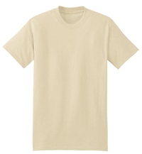 5180 - Hanes Short Sleeve Beefy T-Shirt