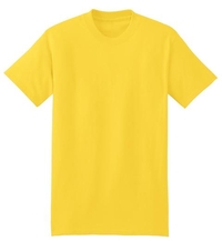 5180 - Hanes Short Sleeve Beefy T-Shirt