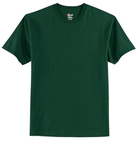 5250 - Hanes® Tagless® 100% Cotton T-Shirt.