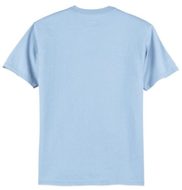 5250 - Hanes® Tagless® 100% Cotton T-Shirt.