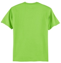 5250 - Hanes® Tagless® 100% Cotton T-Shirt.