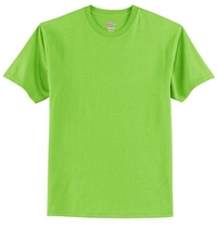 5250 - Hanes® Tagless® 100% Cotton T-Shirt.