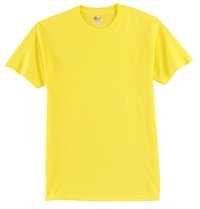 5250 - Hanes® Tagless® 100% Cotton T-Shirt.