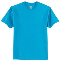 5250 - Hanes® Tagless® 100% Cotton T-Shirt.