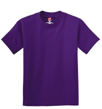 5450 - Hanes - Youth Tagless 100%  Cotton T-Shirt.  5450
