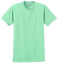 2000 - Gildan Ultra Cotton 100% Cotton T Shirt